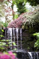 La cascade du jardin de la carrière au jardin Dorothy Clive en mai, entourée de plantations boisées, y compris Acers