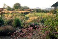 Une vue d'ensemble des parterres informels de plantes vivaces et d'herbes attrapant le soleil de fin d'après-midi - Bury Court