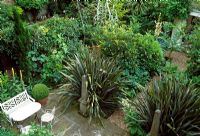 Jardin londonien principalement à feuilles persistantes avec une disposition classique d'obélisques, la plantation comprend Phormium tenax, Magnolia, Fig, Cordyline australis, Yucca, Wisteria, Cyana et Nicotiana