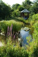 Maison d'été avec vue sur l'étang de la faune - Wild Rose Cottage, Lode, Cambridge