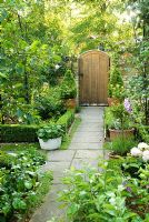 Chemin d'accès à la porte du jardin dans le jardin à la française. Bordure de boîte, pots - New Square, Cambridge