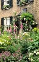 Vue de la porte d'entrée avec des rosiers grimpants formés sur le porche. Parterres de fleurs remplis de digitales, achillées, roses et lamium - New Square, Cambridge