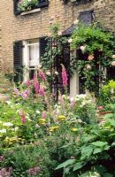 Vue de la porte d'entrée avec des rosiers grimpants formés sur le porche. Parterres remplis de Foxgloves Achilleas, Roses et Lamium - New Square, Cambridge