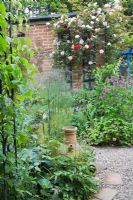 Jardin de la cour minuscule densément planté avec chemin de pavage et de gravier, urne en terre cuite, roses, aquilèges, géraniums, fenouil en bronze et feuillage de clématite sur arc