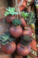 Plantes grasses résistantes à la sécheresse et cactus poussant dans des pots en terre cuite mexicains suspendus sur un mur orienté au sud
