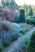 Jardin un matin glacial. Chemin avec lavande, Santolina, Sedums, Berberis, Romarin et Taxus - obélisque topiaire d'if. Le jardin sec, Cambridge Botanic Gardens.