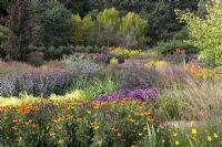 The New Square Garden à RHS Rosemoor avec Helenium 'Sahin's Early Flowerer', Kniphofia rooperi, Monarda 'Prarienacht', Canna 'Wyoming', Aster novi-belgii 'Checkers', Pleioblastus viridistriatus et Molina caerulea 'Edith Dudszus'