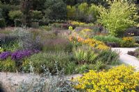 Le nouveau jardin carré à RHS Rosemoor avec Rudbeckia fulgida var. deamii, Kniphofia rooperi, Monarda 'Prarienacht', Canna 'Wyoming', Aster novi-belgii 'Checkers' et Panicum vergatum 'Rehbraun'