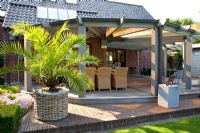 Terrasse moderne à côté de la maison avec grand palmier en pot