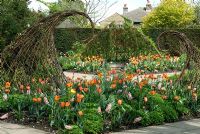 Structures tissées en saule vivant dans des parterres de fleurs de Tulipa 'Ballerina', 'Orange Favorite' et 'Orange Princess' et Hyacinthus 'Gipsy Queen' - RHS Harlow Carr