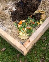 Paillage profond du parterre de fleurs - compost déposé sur les ordures ménagères réparties sur les journaux et les déchets de jardin Projet de potager Clare Matthews, Devon