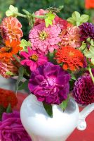 Arrangement floral coloré de fleurs de fin d'été en pot blanc - Nicotania, Dahlias, roses et Zinnias