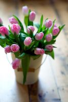 Seau en émail avec bouquet de tulipes roses sur un plancher en bois