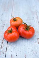 Salade de tomates françaises fraîchement cueillies 'St. Pierre'