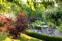 Coin salon sur terrasse dans jardin paysager et plantations de Cotinus cogyggria et Salix integra 'Hakuro Nishiki'
