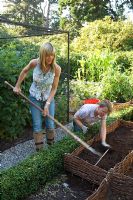 Potager bio en juillet. Les femmes ajoutent du compost au sol dans un parterre de fleurs surélevé et le ratissent.