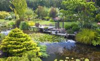 Grand étang avec terrasse en bois et pots en juin. Jardin John Massey, Ashwood (NGS) West Midlands