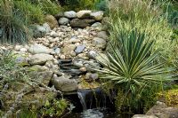 Stream avec du yucca et des herbes, des pierres et des cailloux