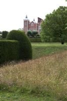 Edge of Taxus - Labyrinthe d'if à Hatfield House avec une bande contrastée d'herbes sauvages non fauchées. Contraste formel et naturel.