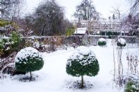 Jardin dans la neige. St Barnabas Road, Cambridge