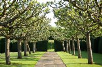 Avenue des arbres et chemin de pierre à Hatfield House Garden, mai 2008, Royaume-Uni