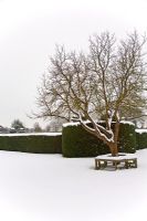 Hatfield park en février - Hertfordshire