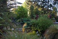 Étang entouré d'arbres et d'arbustes - Breedenbroek, Nouvelle-Zélande