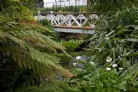 Pont en bois et métal surplombant l'eau et le parterre de fleurs (de gauche à droite) Fougères arborescentes, Fatsia, lis d'Arum et Astelias argentées