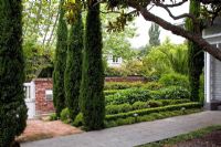 Jardin de banlieue avec parterre de Cupressus sempervirens - Cyprès italiens, et haies adoucies par Hebes et Viburnums de Nouvelle-Zélande