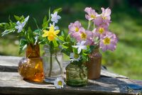 Fleurs de printemps en pots de verre. Primula polyanthus, Narcisse 'Tête à tête' et Vinca.