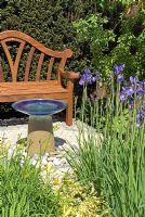 Siège de jardin, fontaine à eau et iris bleus dans le jardin 'Dyslexie - Une barrière à l'éducation' - Médaillé de bronze au RHS Chelsea Flower Show 2010