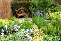 Parterres à thème bleu et jaune d'Iris, Alchemilla mollis et Euphorbia dans le jardin 'Dyslexie - Une barrière à l'éducation' - Médaillé de bronze au RHS Chelsea Flower Show 2010
