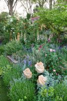 Jardin paysager avec des plantes dont Lavandula angustifolia, Rosa 'Rambling Rector', Digitalis purpurea 'Sutton's Apricot', Rosa 'Fantin Latour' et Alchemilla mollis. Leur