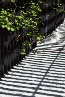 Chemin de gravier avec des ombres projetées de la clôture. The Cancer Research UK Garden, Médaillé d'or RHS Chelsea Flower Show 2010