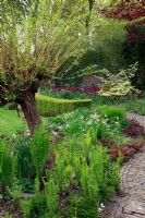 Jardin de printemps avec plantation de bulbes spéciaux - Jankslooster, Geke Rook, Hollande