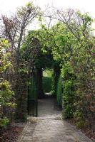 Entrée du jardin de printemps avec plantation de bulbes spéciaux - Jankslooster, Geke Rook, Hollande