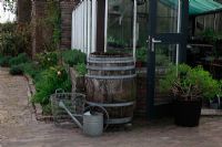 Butée d'eau sur le patio en brique à côté de la maison. Jardin de printemps avec plantation de bulbes spéciaux - Jankslooster, Geke Rook, Hollande