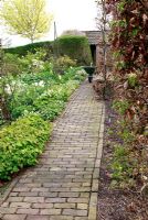 Chemin de briques avec des parterres à thème blanc, jardin de printemps avec plantation de bulbes spéciaux - Jankslooster, Geke Rook, Hollande