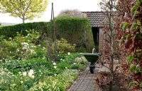 Chemin de brique avec brouette et parterres à thème blanc, jardin de printemps avec plantation de bulbes spéciaux - Jankslooster, Geke Rook, Hollande
