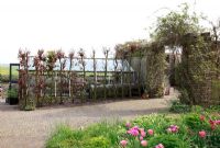 Entrée de la terrasse. Jardin de printemps avec la plantation de bulbes spéciaux - Jankslooster, Geke Rook, Hollande