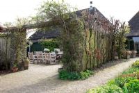 Entrée sur la terrasse. Jardin de printemps avec la plantation de bulbes spéciaux - Jankslooster, Geke Rook, Hollande