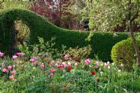 Jardin de printemps hollandais avec plantation d'ampoules spéciales. Tulipa 'Peach Blossom', Tulipa 'Beauty Queen', Tulipa 'Happy Family', Tulipa 'Ronaldo' et Tulipa 'Jan Reus '.