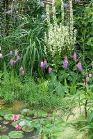 Plantation marginale à côté de l'étang de la faune, avec Verbascum et Primula viallii. 'It's Only Natural' - Médaillé d'argent doré - RHS Hampton Court Flower Show 2010