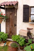 Pots de basilic et de thym à la porte arrière du chalet méditerranéen rustique, avec panier suspendu, trug et vieux vélo - Graines d'Italie, RHS Hampton Court Flower Show 2010
