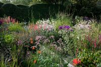 Gaura linheimeri, Pennisetum, Phlox et Kniphofia en parterre d'été mixte - Marchants Hardy Plants Sussex