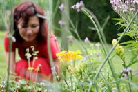 Femme en parterre de fleurs d'Hemerocallis 'Mme Vandenbosch' dans un jardin et salon de thé néerlandais - De Tuinen à Demen