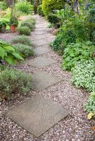 Chemin en dalles de gravier et de dalles carrées bordées de plantes dont Lavandula angustifolia 'Hidcote' et Lamium. Saxon Road, Lancashire. Le jardin est ouvert pour le National Garden Scheme