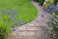 Agapanthe et Lavandula, à côté du chemin de gravier et de dalle. Pelouse bordée de moules en pierre bleu ardoise. Saxon Road, Lancashire. Le jardin est ouvert pour le National Garden Scheme