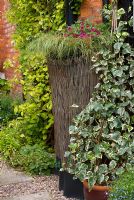 Hydrangea petiolaris, croupe d'eau déguisée derrière un écran de saule, Carex et Calibrachoa 'Million Bells Cherry Pink' et Hedera - Ivy dans un pot. Saxon Road, Lancashire. Le jardin est ouvert pour le National Garden Scheme
