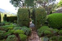 Chemin de pierre flanqué d'arbustes taillés - Jardin de la Louve, Provence, France